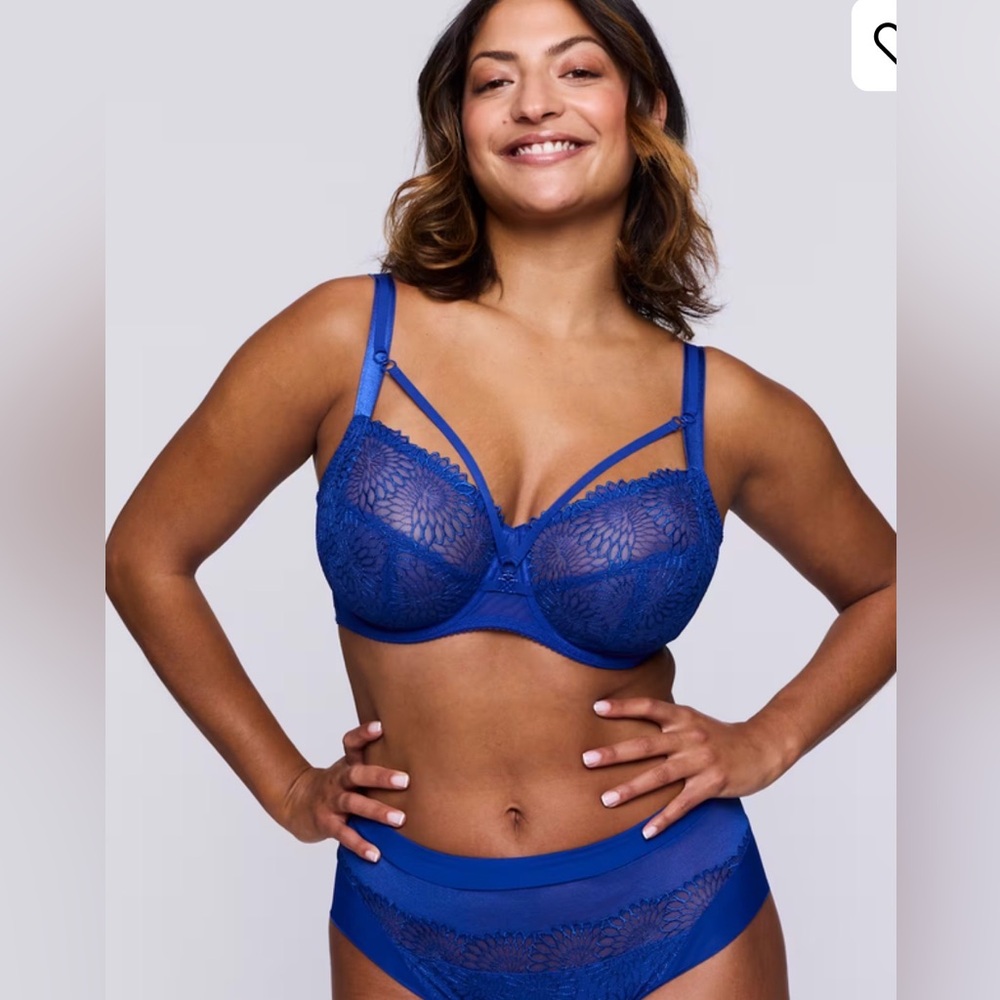 Primadonna Sophora Full Cup Lace Underwire Bra in Royal Blue